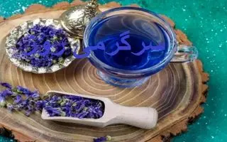 این گیاه شمشیر دو لبه طبیعت است /  از درمان افسردگی تا خطر افزایش فشار خون