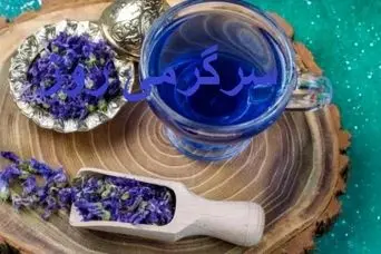 این گیاه شمشیر دو لبه طبیعت است /  از درمان افسردگی تا خطر افزایش فشار خون