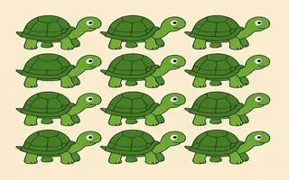 بازی فکری : فقط اوناییکه مثل عقاب تیزبین هستند تو 4 ثانیه لاکپشت متفاوت را پیدا می کنند؟