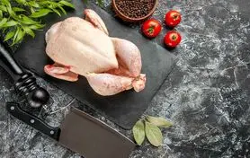 اگر شماهم جگر مرغ می خورید بخوانید 