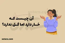 چیستان روز | آن چیست که خار دارد اما گل ندارد؟