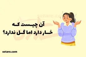 چیستان روز | آن چیست که خار دارد اما گل ندارد؟