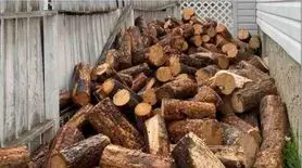 بازی فکری : این تست یکی از آزمون های خلبانی آمریکاست،فقط 3 ثانیه وقت داری سگ و پیدا کنی!