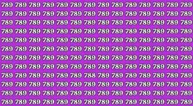 بازی فکری:اگه ادعا داری که چشمات مثل شاهیه ۷۸۸ را در ۹ ثانیه  پیدا می کنند!