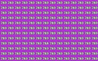 بازی فکری:اگه ادعا داری که چشمات مثل شاهیه ۷۸۸ را در ۹ ثانیه  پیدا می کنند!