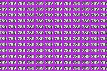 بازی فکری:اگه ادعا داری که چشمات مثل شاهیه ۷۸۸ را در ۹ ثانیه  پیدا می کنند!