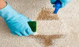 امسال فرش های ماشینی رو نده قالیشویی با این روش خونگی فرشاتو مثل روز اول تمیز کن