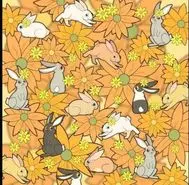 بازی فکری : فقط یک چشم شاهینی هویج را در ۵ ثانیه پیدا می کند!