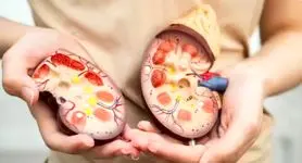 این غذاها کلیه‌های شما را زنده نگه می‌دارند! | خوراکی‌هایی که سلامت کلیه را تضمین می‌کنند