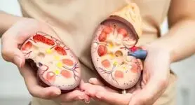 این غذاها کلیه‌های شما را زنده نگه می‌دارند! | خوراکی‌هایی که سلامت کلیه را تضمین می‌کنند