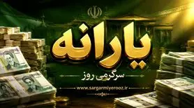 واریز یارانه ویژه 2 میلیون تومانی  | مشمولان یارانه جدید چه کسانی هستند؟