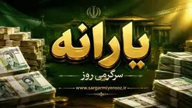 واریز یارانه ویژه 2 میلیون تومانی  | مشمولان یارانه جدید چه کسانی هستند؟