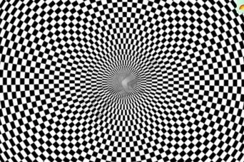 بازی فکری : حتی ۹۹٪ افراد با چشمان فوق اچ‌دی هم نتوانستند حیوان مخفی را تشخصی دهند!شما چطور؟