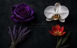 باغچه درونی شما چه رنگی است؟ | با انتخاب یک گل لایه های عمیق خودتان را کشف کنید!
