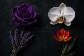 باغچه درونی شما چه رنگی است؟ | با انتخاب یک گل لایه های عمیق خودتان را کشف کنید!