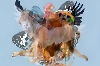 تست شخصیت شناسی: بگو چه حیوانی رو در نگاه اول دیدی تا بگم چقدر وحشی و آزارگر هستی!