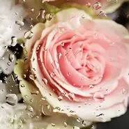 اگه چشمات زود به زود خسته میشه چاره اش اینجاست | درمان خانگی خستگی چشم با مواد طبیعی

