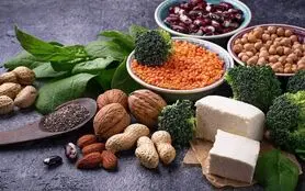 زنان حتما این غذاها را مصرف کنند 