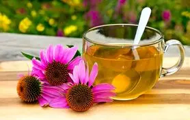 یک گیاه زمستانی تمام عیار که ضد اسپاسم معده، ضد تبخال و ضد عفونت لثه هم هست!