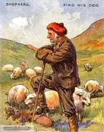 بازی فکری : فقط اونایی که دید خلبانی دارند تو 4 ثانیه سگ را پیدا می کنند!