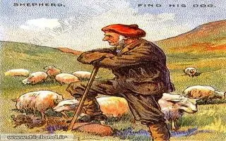 بازی فکری : فقط اونایی که دید خلبانی دارند تو 4 ثانیه سگ را پیدا می کنند!