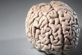 کمبود این ویتامین مغزتون و نابود میکنه