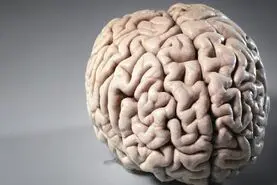 کمبود این ویتامین مغزتون و نابود میکنه