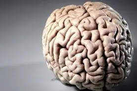 کمبود این ویتامین مغزتون و نابود میکنه