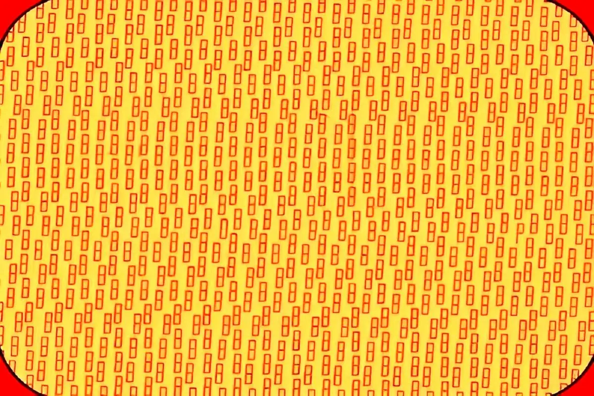 بازی فکری : اگه مدعی تیزهوشی و تیز بینی هستی حرف  P مخفی رو تو 5 ثانیه پیدا کن!