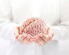  کم حافظه هستید؟ | با این 5 خوراکی مغزتون مثل ساعت کار میکنه