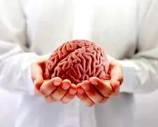  کم حافظه هستید؟ | با این 5 خوراکی مغزتون مثل ساعت کار میکنه