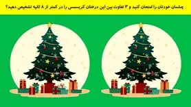 تست هوش | چشمان خودتان را امتحان کنید و ۳ تفاوت بین این درختان کریسمس را در کمتر از ۸ ثانیه تشخیص دهید؟