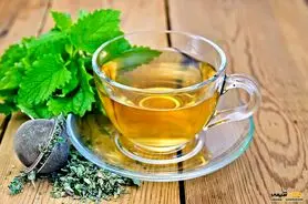 گیاهی از خانواده نعناع که ضد آلزایمر است و اثرات ضد ویروسی دارد