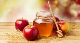 فصل ریشه کنی التهاب و کولیت روده فرا رسید / فرمول طلایی درمان در خانه اعلام شد 