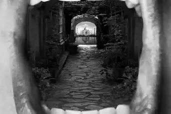 تست شخصیت شناسی: بگویید در ابتدا چه دیدید تا بفهمید چقدر آرمان‌گرایید!