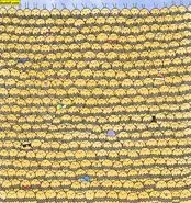 بازی فکری؛ باید خیلی با هوش و ذکاوت باشی که تو 5 ثانیه ملکه زنبورهارو پیدا کنی!