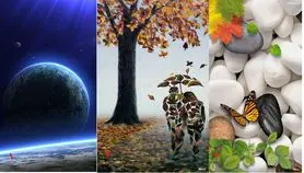 تست شخصیت شناسی : یک تصویر انتخاب کنید تا ویژگی شخصیتی شما را آشکار کنیم!