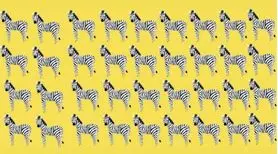 بازی فکری؛ اونایی که قدرت تمرکز مثل بوداها دارن میتونن گورخر متفاوت رو سه سوت پیدا کنن!