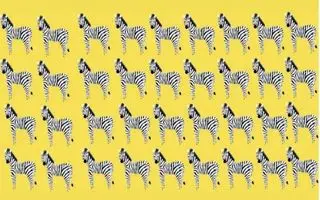 بازی فکری؛ اونایی که قدرت تمرکز مثل بوداها دارن میتونن گورخر متفاوت رو سه سوت پیدا کنن!