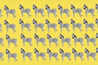 بازی فکری؛ اونایی که قدرت تمرکز مثل بوداها دارن میتونن گورخر متفاوت رو سه سوت پیدا کنن!