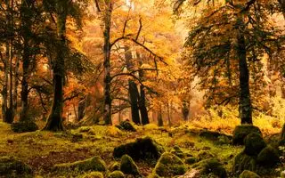 سفری لذت بخش به زیباترین روستای نزدیک تهران در پاییز؛ روستای  وارنگه رود در یک ساعتی تهران