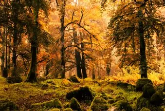سفری لذت بخش به زیباترین روستای نزدیک تهران در پاییز؛ روستای  وارنگه رود در یک ساعتی تهران