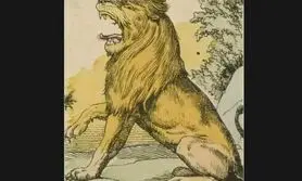 تست هوش | 2 تا موش تو تصویر مخفی شدن که فقط درصد کمی تونستن اونارو پیدا کنند