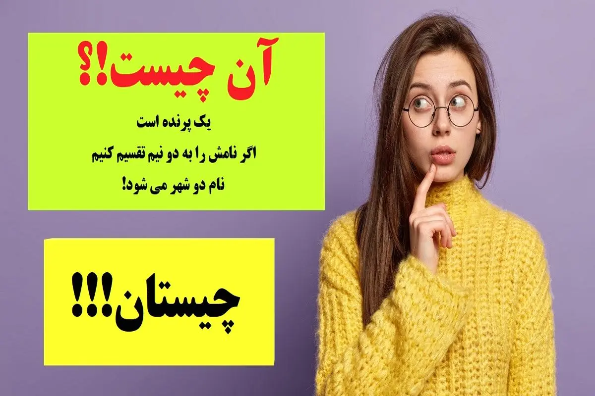  یک پرنده است که اگر نامش را به دو نیم تقسیم کنیم، نام دو شهر می شود!؟