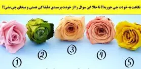 تست شخصیت شناسی | تا حالا فکر کردی ته داستانت چی میشه؟ یک گل انتخاب کن بگم