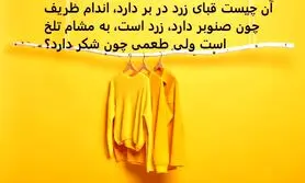 چیستان روز | آن چیست قبای زرد در بر دارد، اندام ظریف چون صنوبر دارد، زرد است، به مشام تلخ است ولی طعمی چون شکر دارد؟

