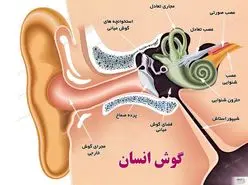درمان قطعی و ساده سنگینی گوش ها در خانه / 100 سال به آسانی گوش شنوا داشته باشید