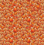 بازی فکری : چشم عقابی ها تو 20 ثانیه ستاره دریایی و پیدا کنند!