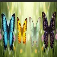 تست شخصیت شناسی: با انتخاب یک پروانه بفهمید چقدر  صداقت در زندگیان نقش دارد!