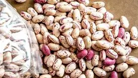  تنها یک فنجان از این دانه، روده شما را دوباره زنده و صفرکیلومتر می‌کند!